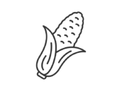 新鮮なトウモロコシ（線画）の無料イラスト｜透過PNG・商用利用OK