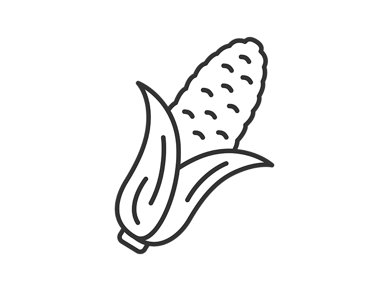 新鮮なトウモロコシ（線画）の無料イラスト｜透過PNG・商用利用OK