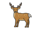 エゾシカ（線画カラー）の無料イラスト｜透過PNG・商用利用OK