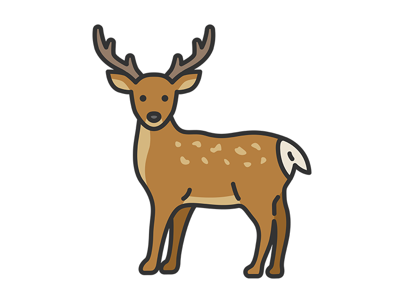 エゾシカ（線画カラー）の無料イラスト｜透過PNG・商用利用OK
