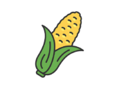 新鮮なトウモロコシ（線画カラー）の無料イラスト｜透過PNG・商用利用OK