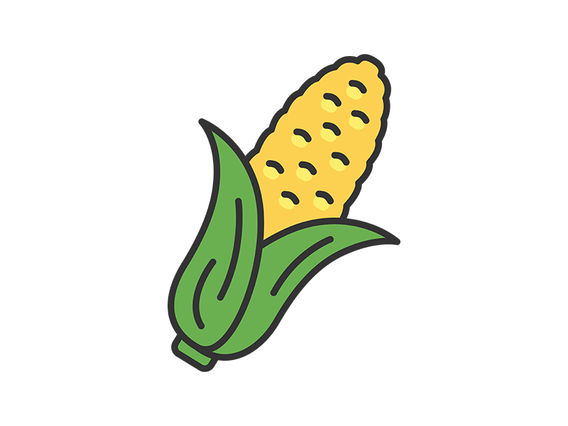 Free illustration of fresh corn (line drawing color)
