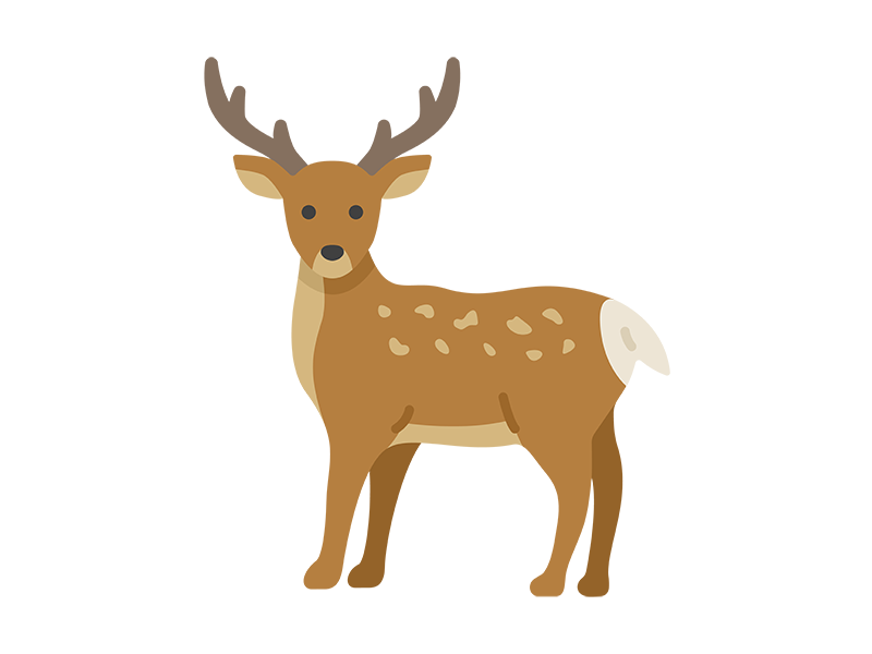 エゾシカの無料イラスト｜透過PNG・商用利用OK