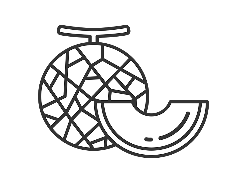 マスクメロン（線画）の無料イラスト｜透過PNG・商用利用OK