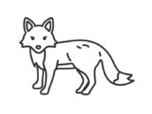 正面を向いた、キツネ（線画）の無料イラスト｜透過PNG・商用利用OK