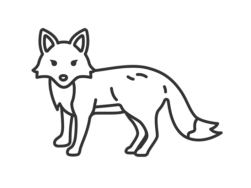 Free illustration of a fox (line drawing) facing the front