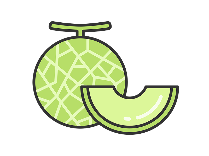 Free illustration of cantaloupe (color line drawing)