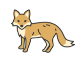 正面を向いた、キツネ（線画カラー）の無料イラスト｜透過PNG・商用利用OK