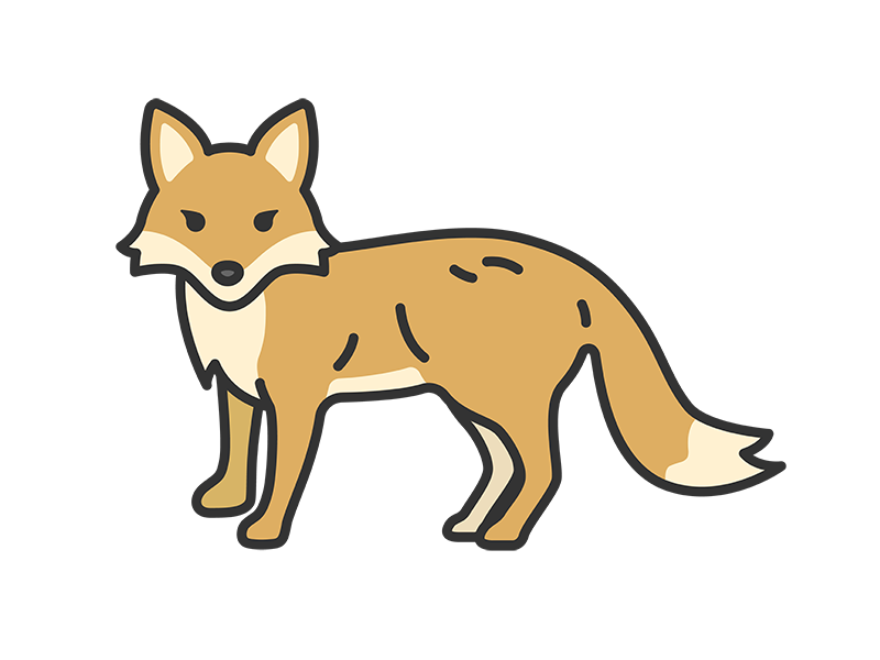 正面を向いた、キツネ（線画カラー）の無料イラスト｜透過PNG・商用利用OK