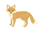 正面を向いた、キツネの無料イラスト｜透過PNG・商用利用OK
