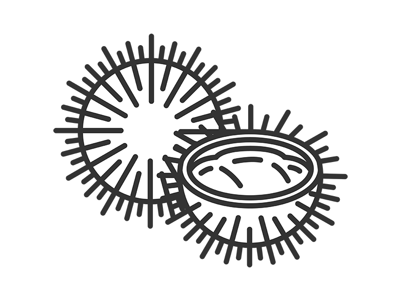 殻に入った、雲丹（線画）の無料イラスト｜透過PNG・商用利用OK